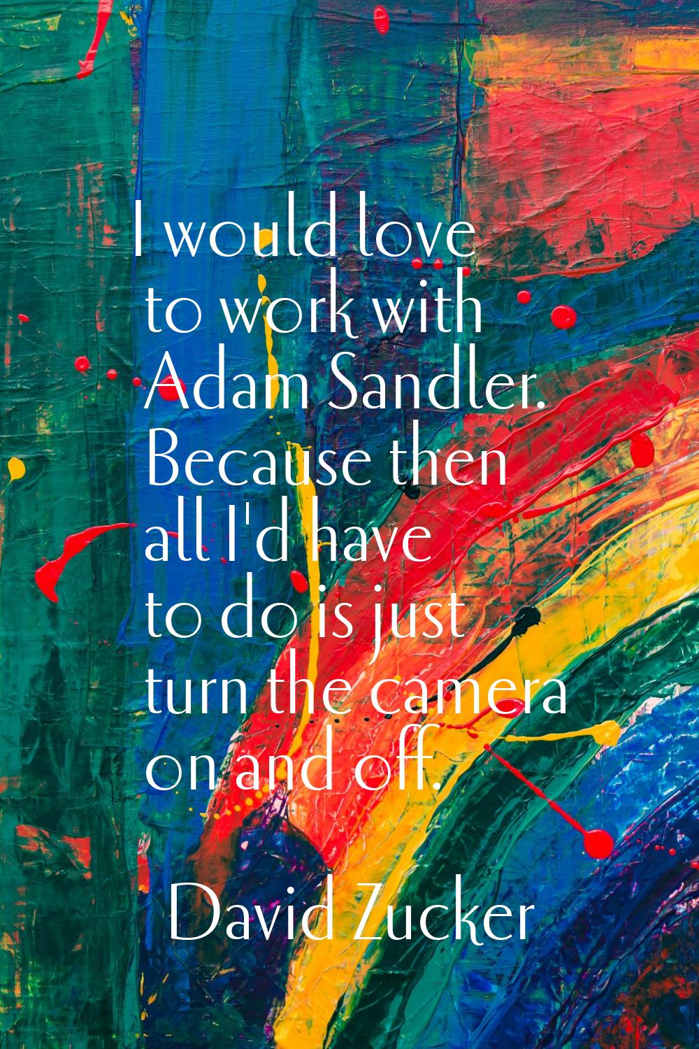 I would love to work with Adam Sandler. Because then all I'd have to do is just turn the camera on 