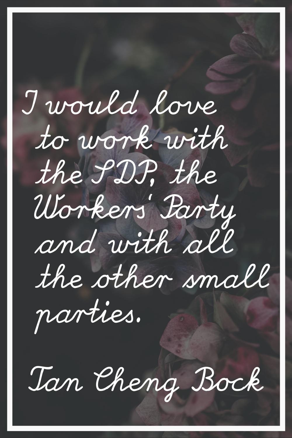 I would love to work with the SDP, the Workers' Party and with all the other small parties.