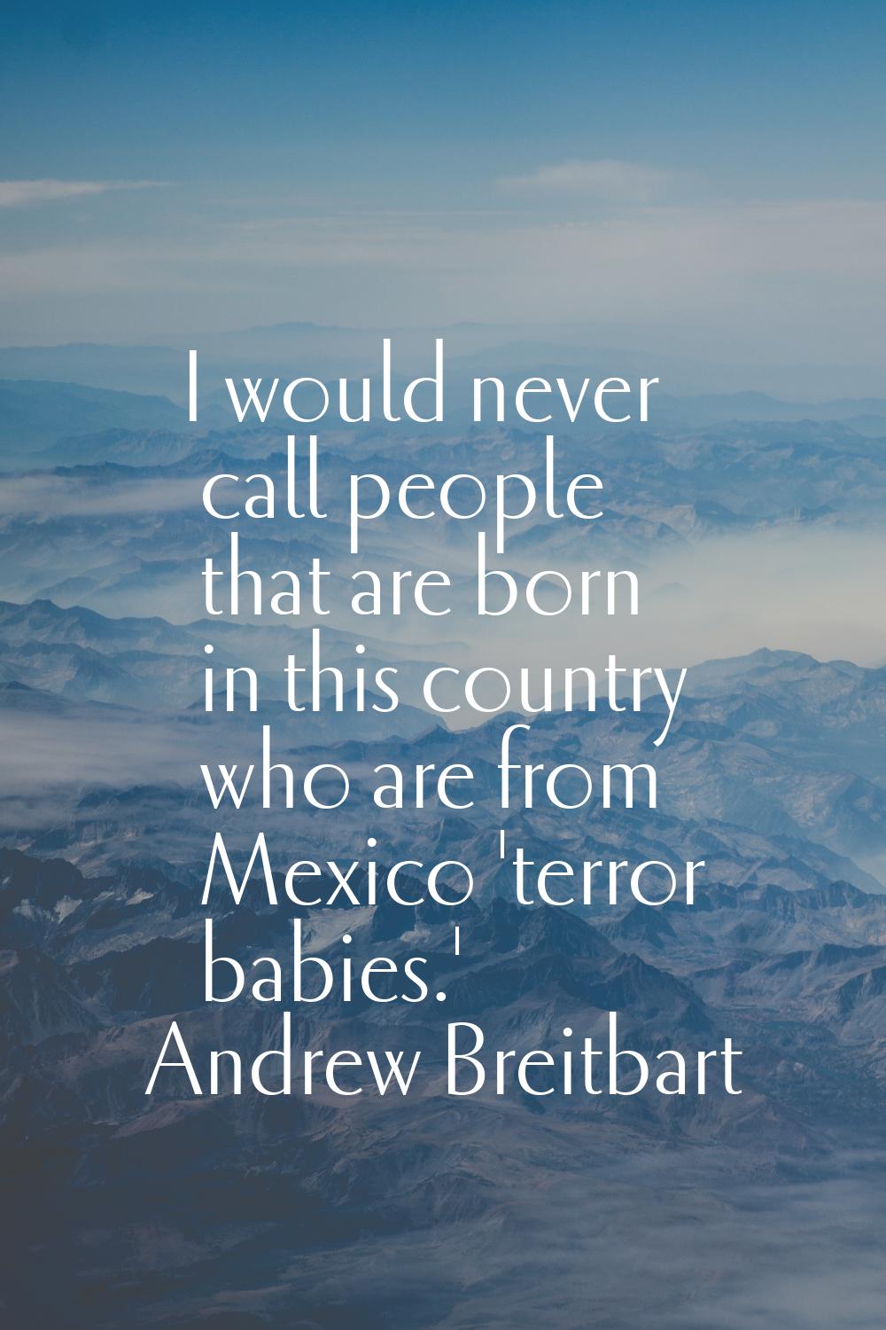 I would never call people that are born in this country who are from Mexico 'terror babies.'
