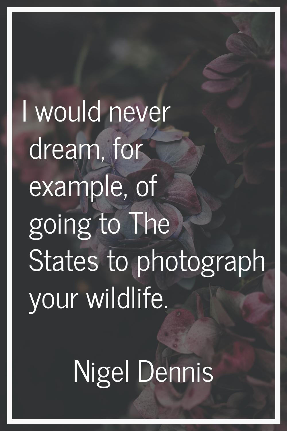 I would never dream, for example, of going to The States to photograph your wildlife.