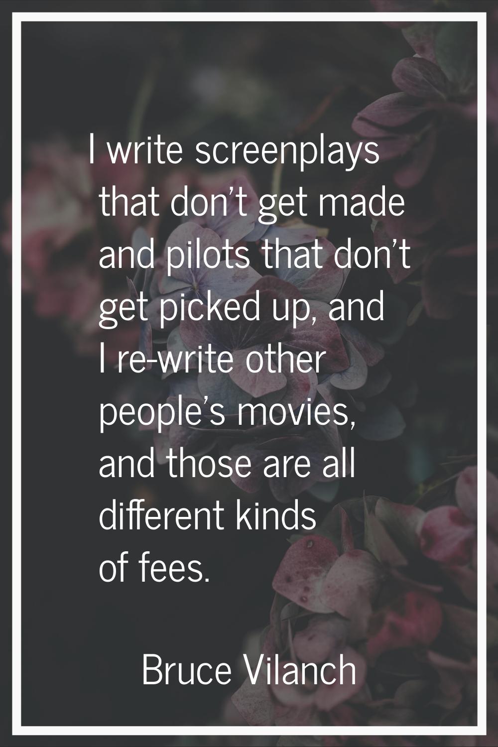 I write screenplays that don't get made and pilots that don't get picked up, and I re-write other p