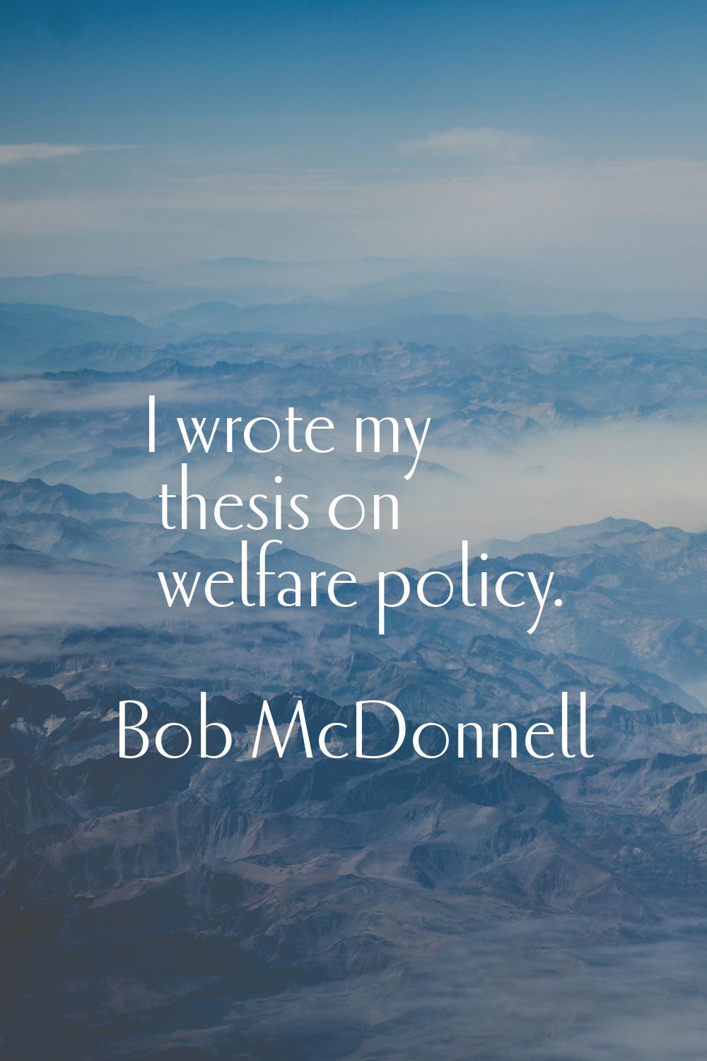 I wrote my thesis on welfare policy.