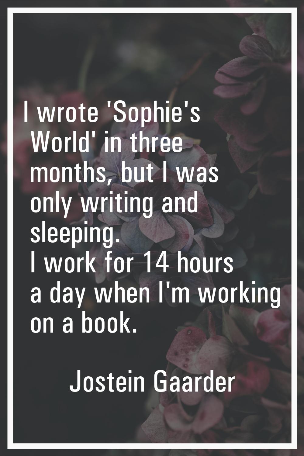 I wrote 'Sophie's World' in three months, but I was only writing and sleeping. I work for 14 hours 