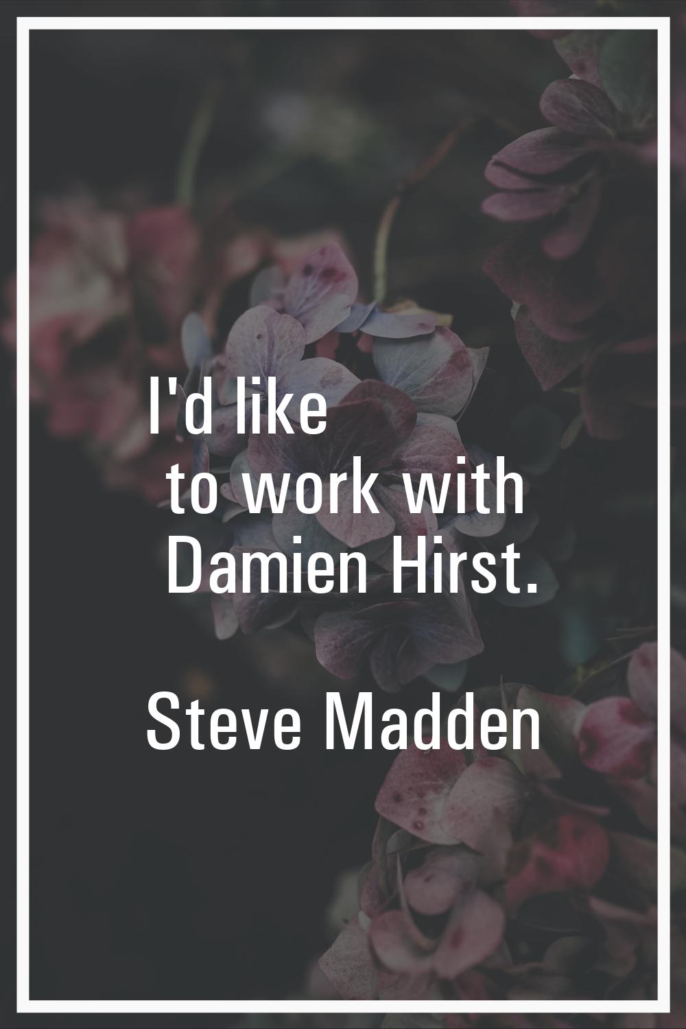 I'd like to work with Damien Hirst.