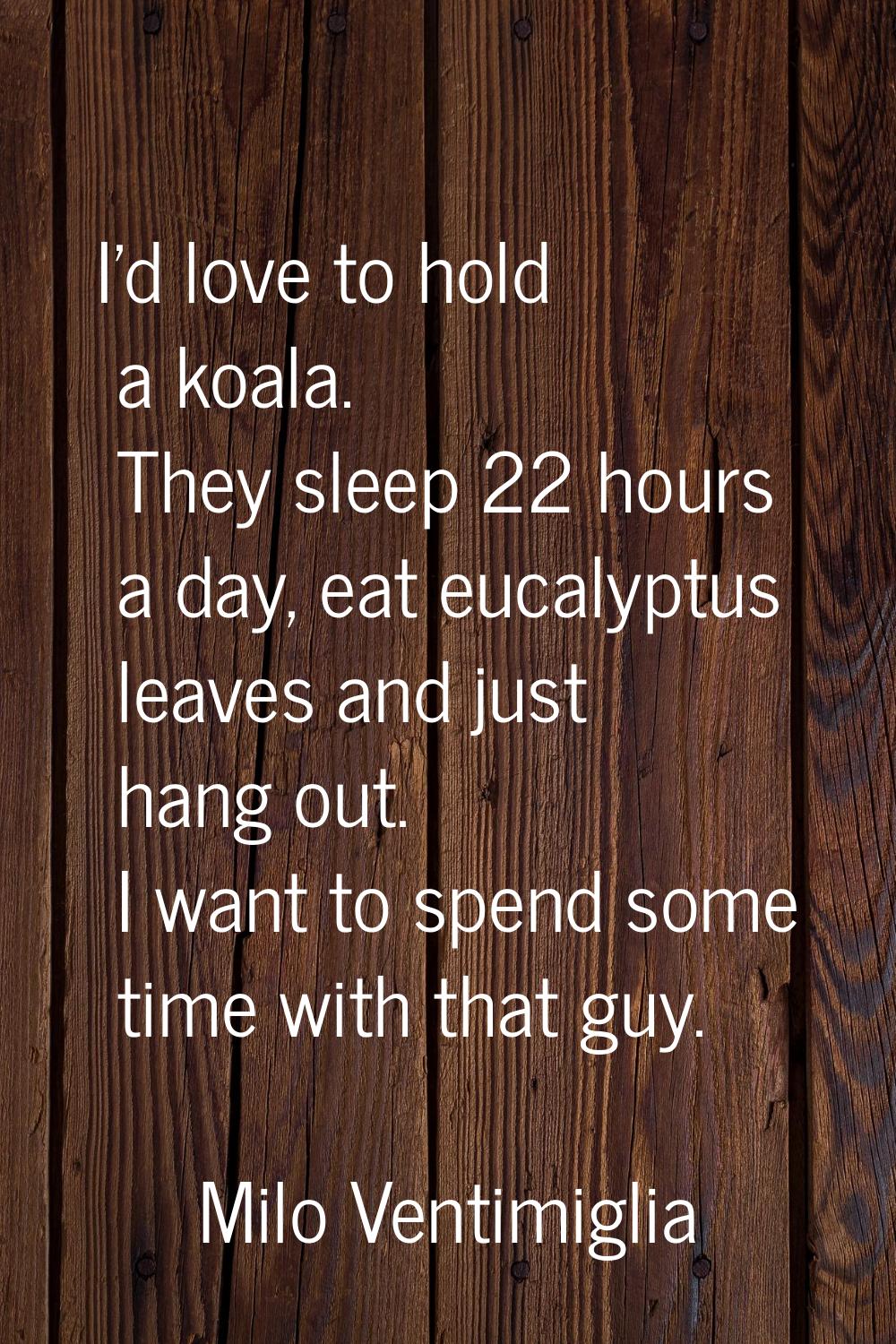 I'd love to hold a koala. They sleep 22 hours a day, eat eucalyptus leaves and just hang out. I wan