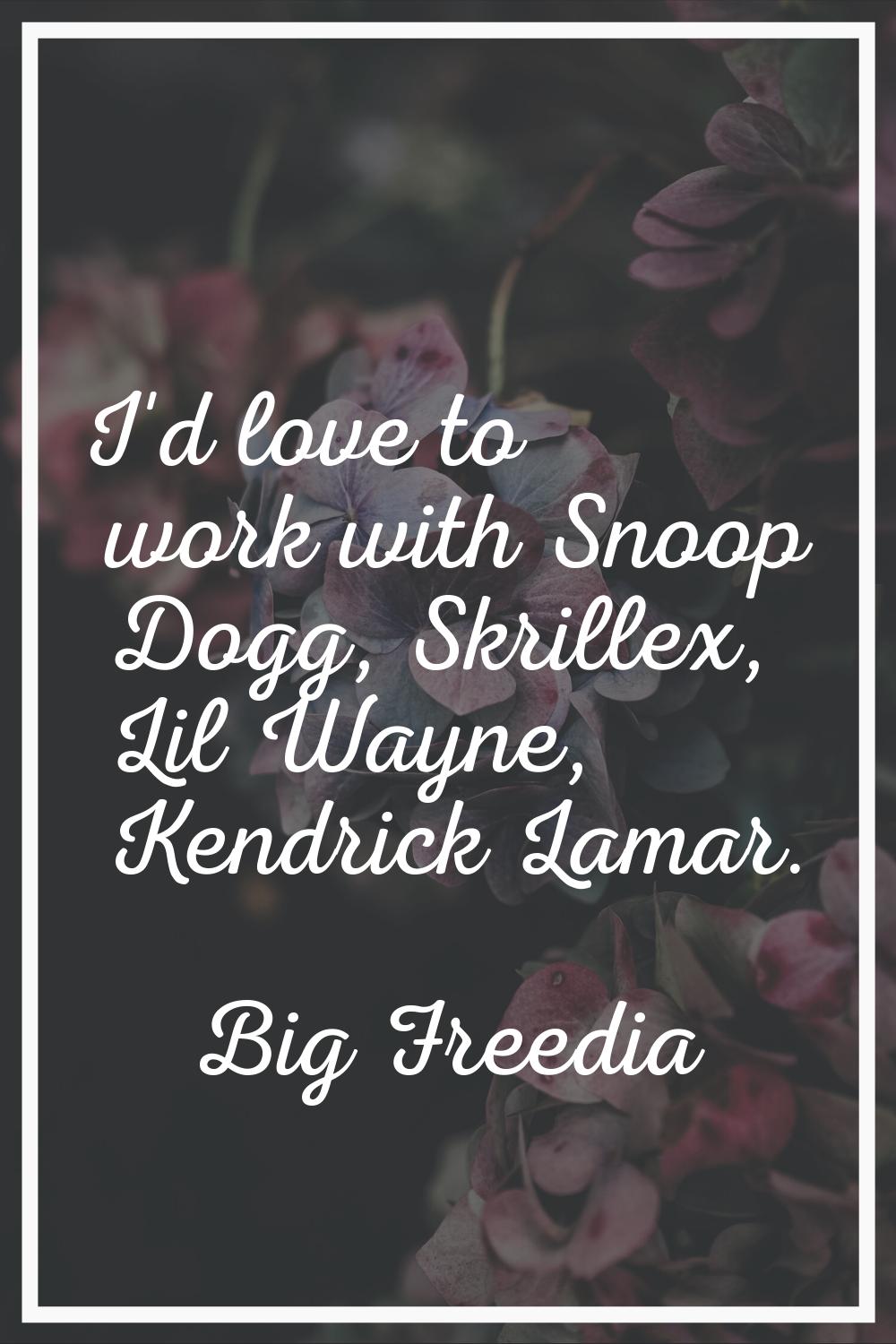 I'd love to work with Snoop Dogg, Skrillex, Lil Wayne, Kendrick Lamar.