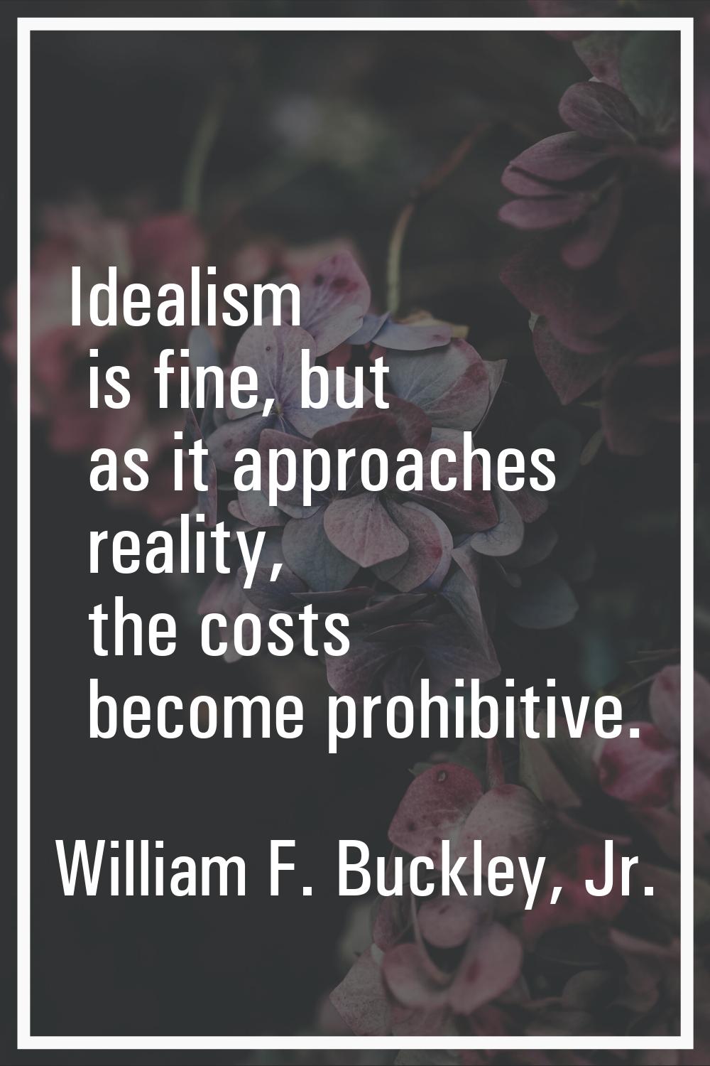Idealism is fine, but as it approaches reality, the costs become prohibitive.