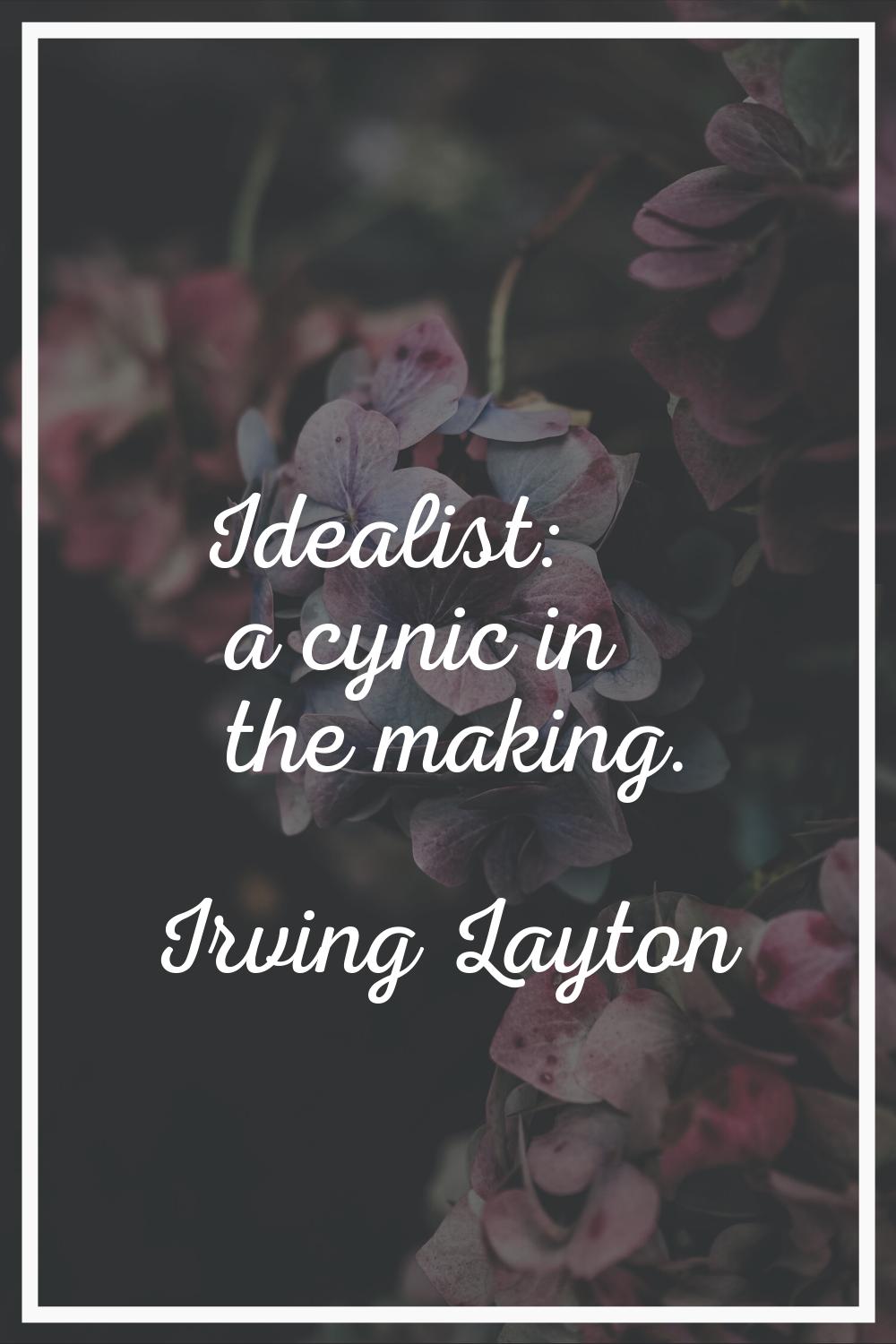 Idealist: a cynic in the making.