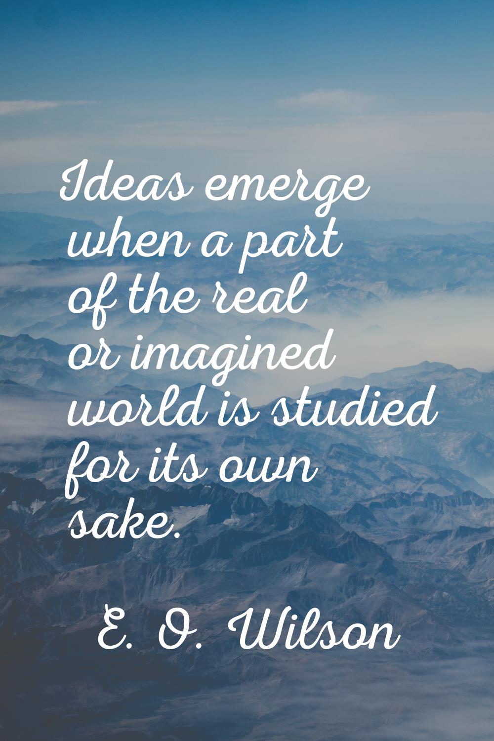 Ideas emerge when a part of the real or imagined world is studied for its own sake.