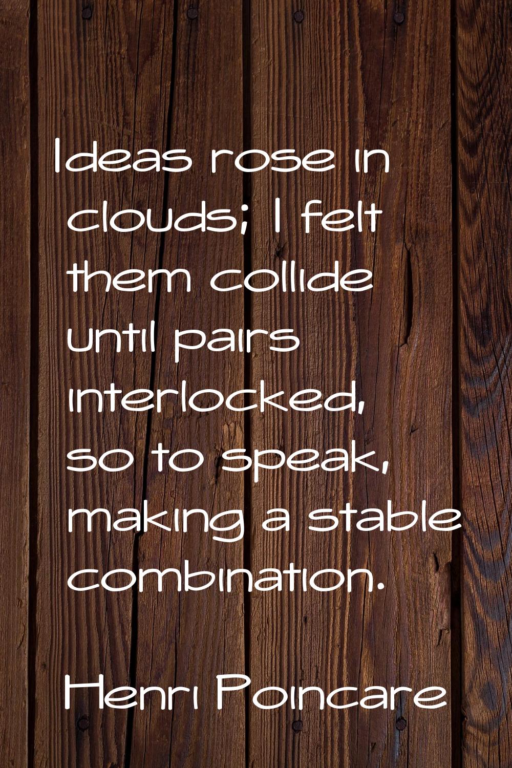 Ideas rose in clouds; I felt them collide until pairs interlocked, so to speak, making a stable com