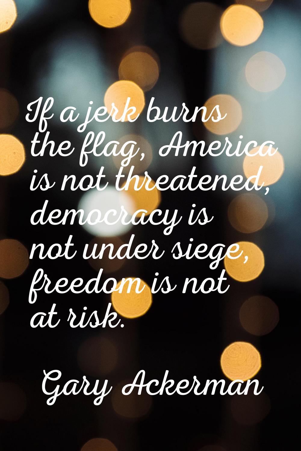 If a jerk burns the flag, America is not threatened, democracy is not under siege, freedom is not a