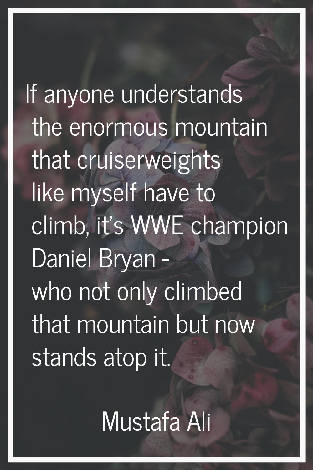 If anyone understands the enormous mountain that cruiserweights like myself have to climb, it's WWE