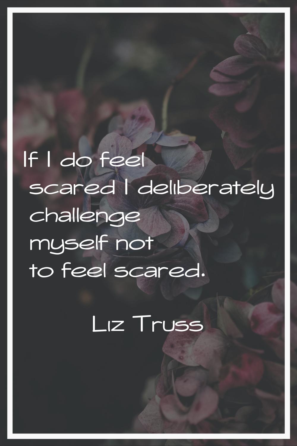 If I do feel scared I deliberately challenge myself not to feel scared.