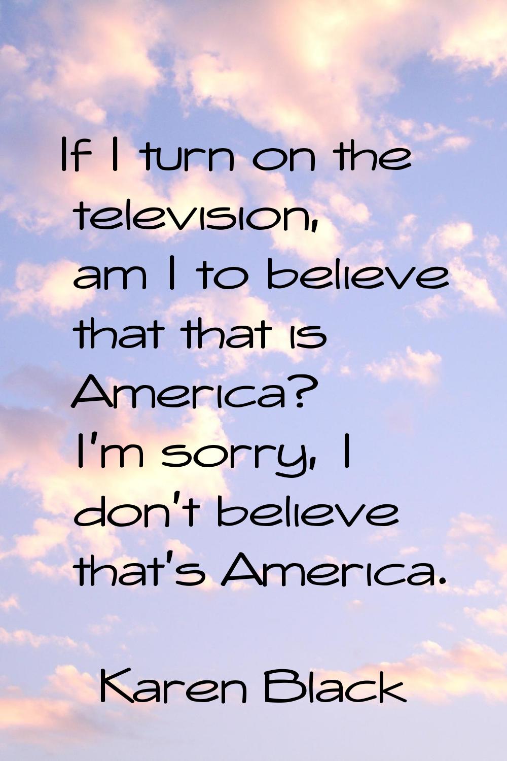 If I turn on the television, am I to believe that that is America? I'm sorry, I don't believe that'