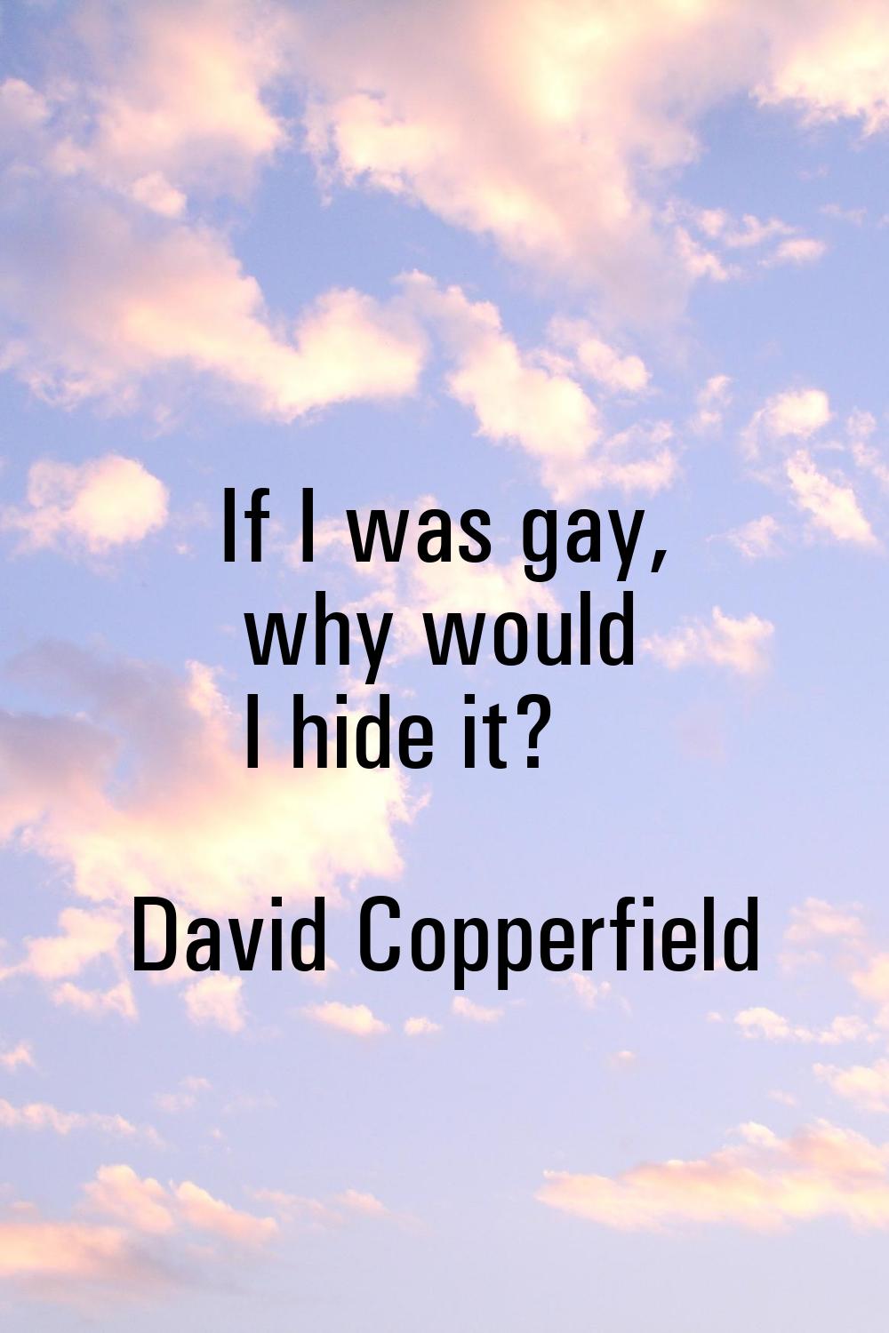 If I was gay, why would I hide it?