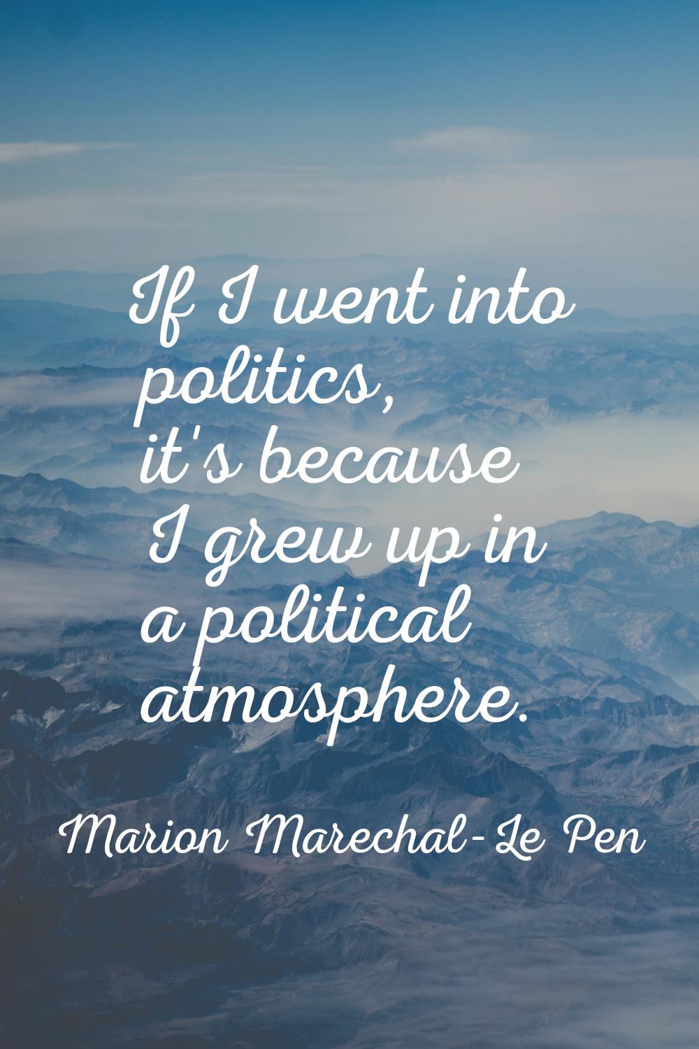 If I went into politics, it's because I grew up in a political atmosphere.