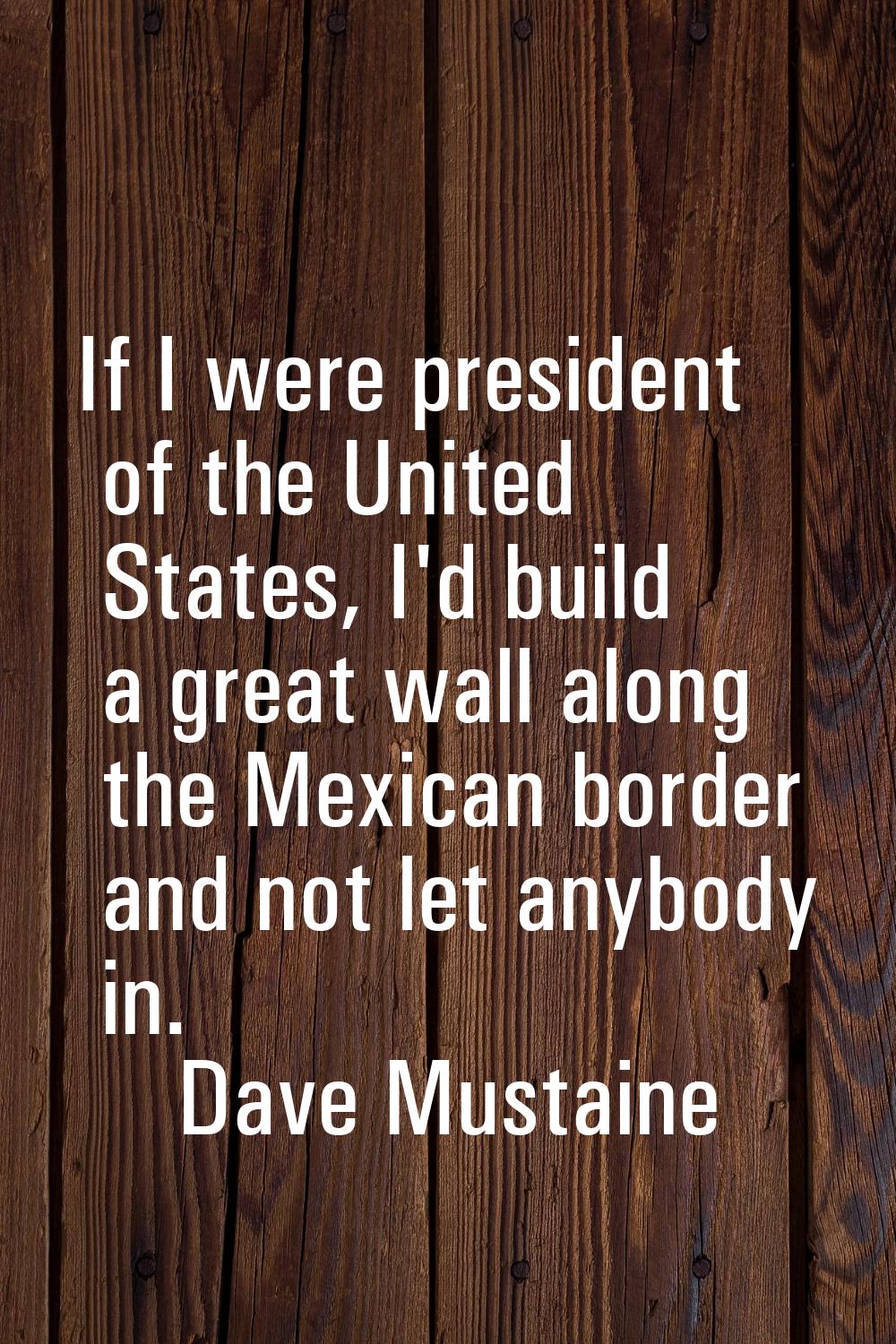 If I were president of the United States, I'd build a great wall along the Mexican border and not l