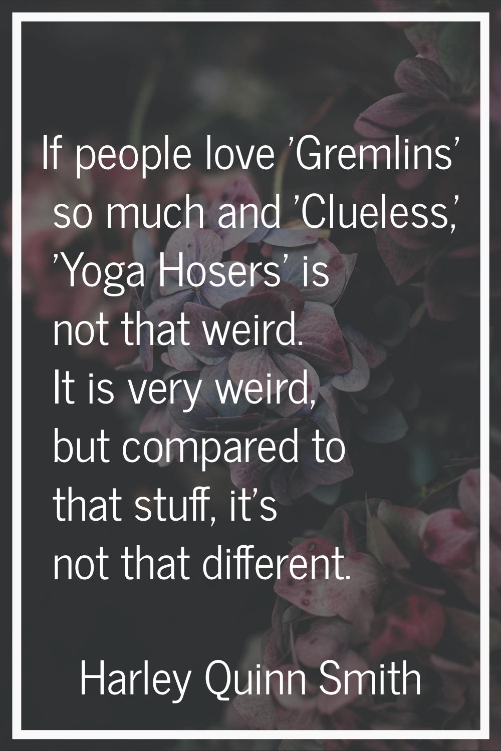 If people love 'Gremlins' so much and 'Clueless,' 'Yoga Hosers' is not that weird. It is very weird