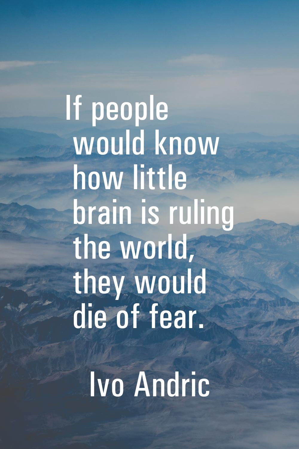 If people would know how little brain is ruling the world, they would die of fear.