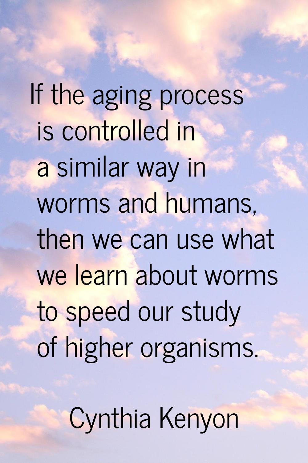 If the aging process is controlled in a similar way in worms and humans, then we can use what we le