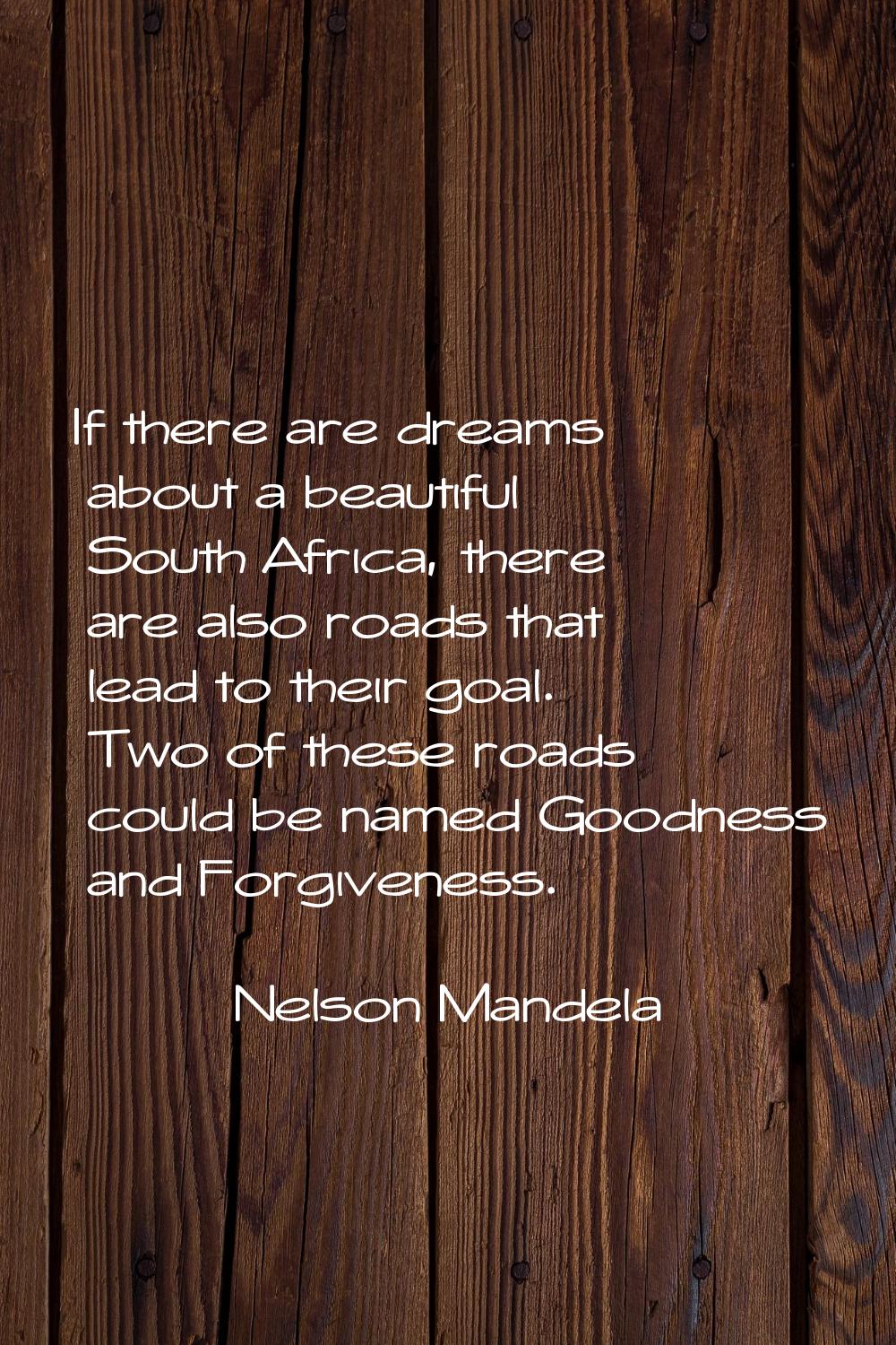 If there are dreams about a beautiful South Africa, there are also roads that lead to their goal. T