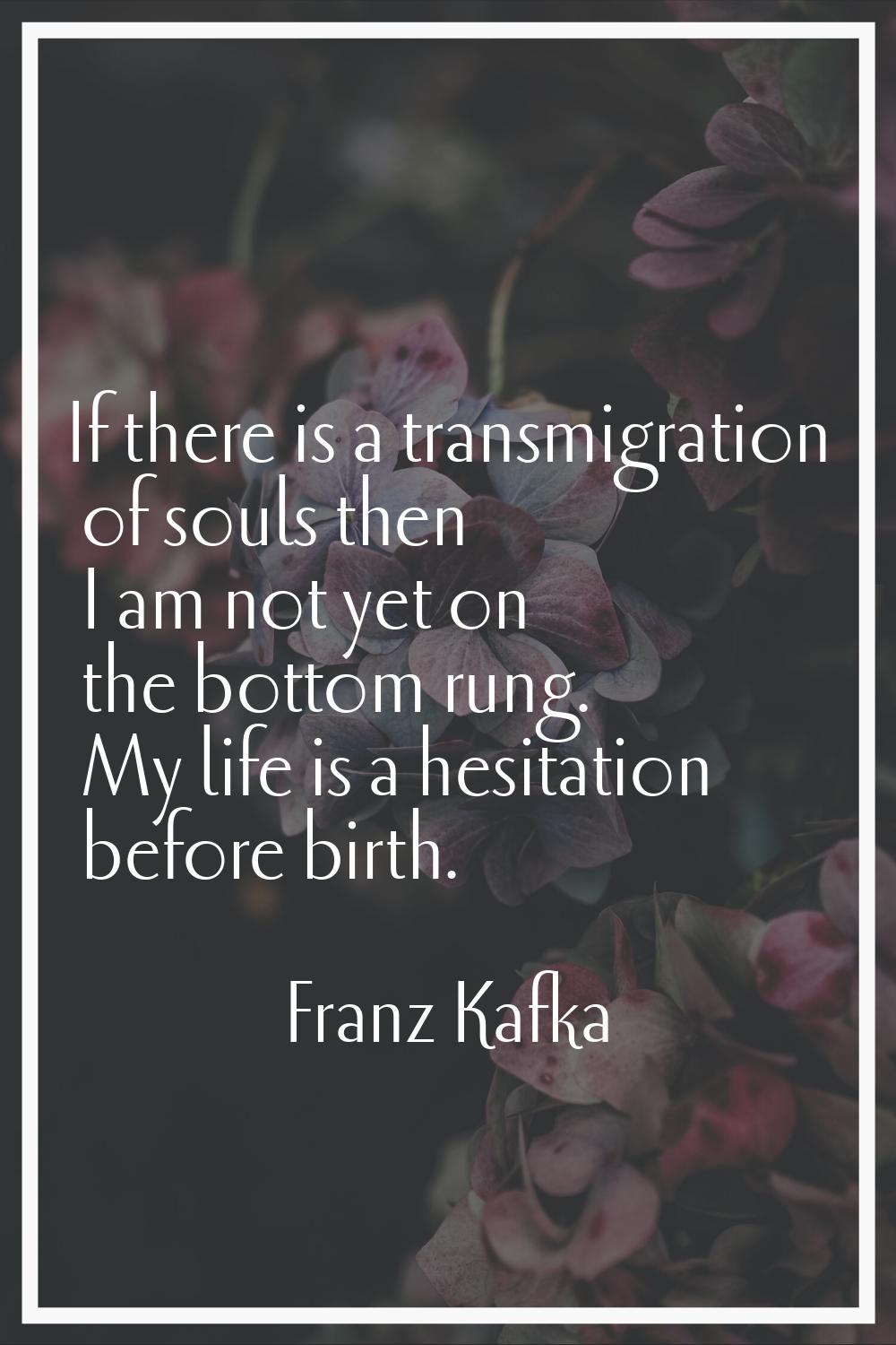 If there is a transmigration of souls then I am not yet on the bottom rung. My life is a hesitation