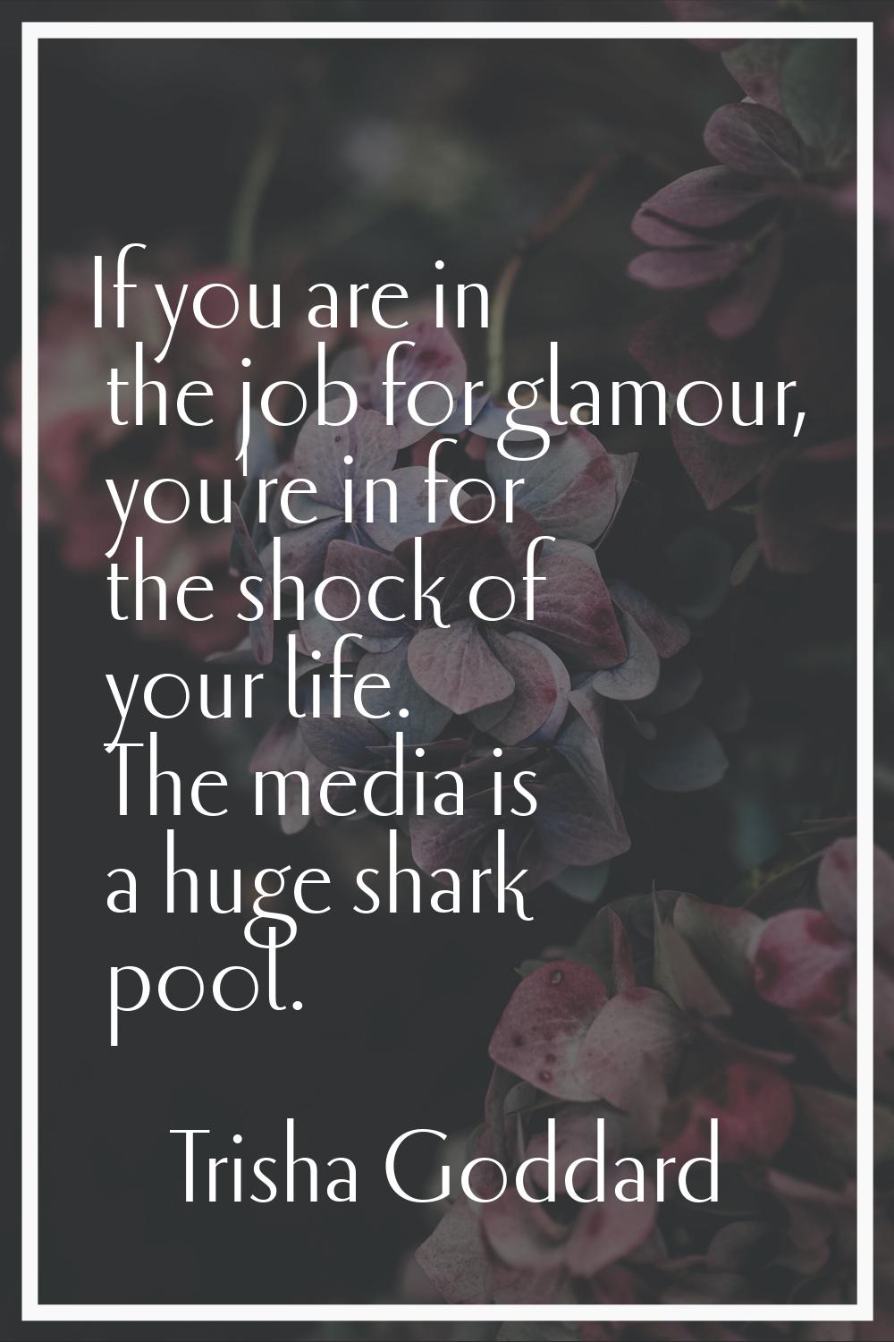 If you are in the job for glamour, you're in for the shock of your life. The media is a huge shark 