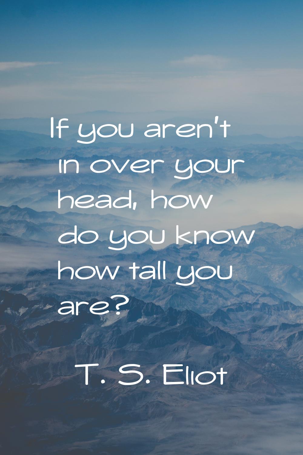 If you aren't in over your head, how do you know how tall you are?