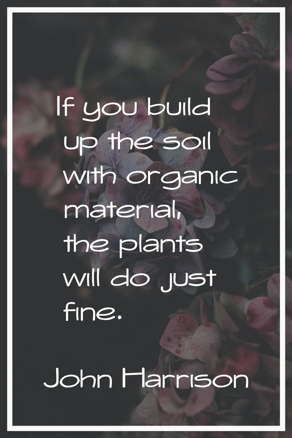 If you build up the soil with organic material, the plants will do just fine.