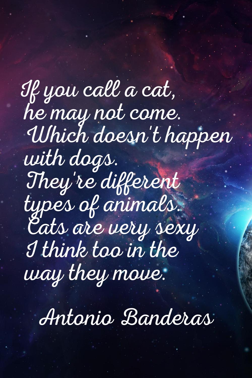 If you call a cat, he may not come. Which doesn't happen with dogs. They're different types of anim