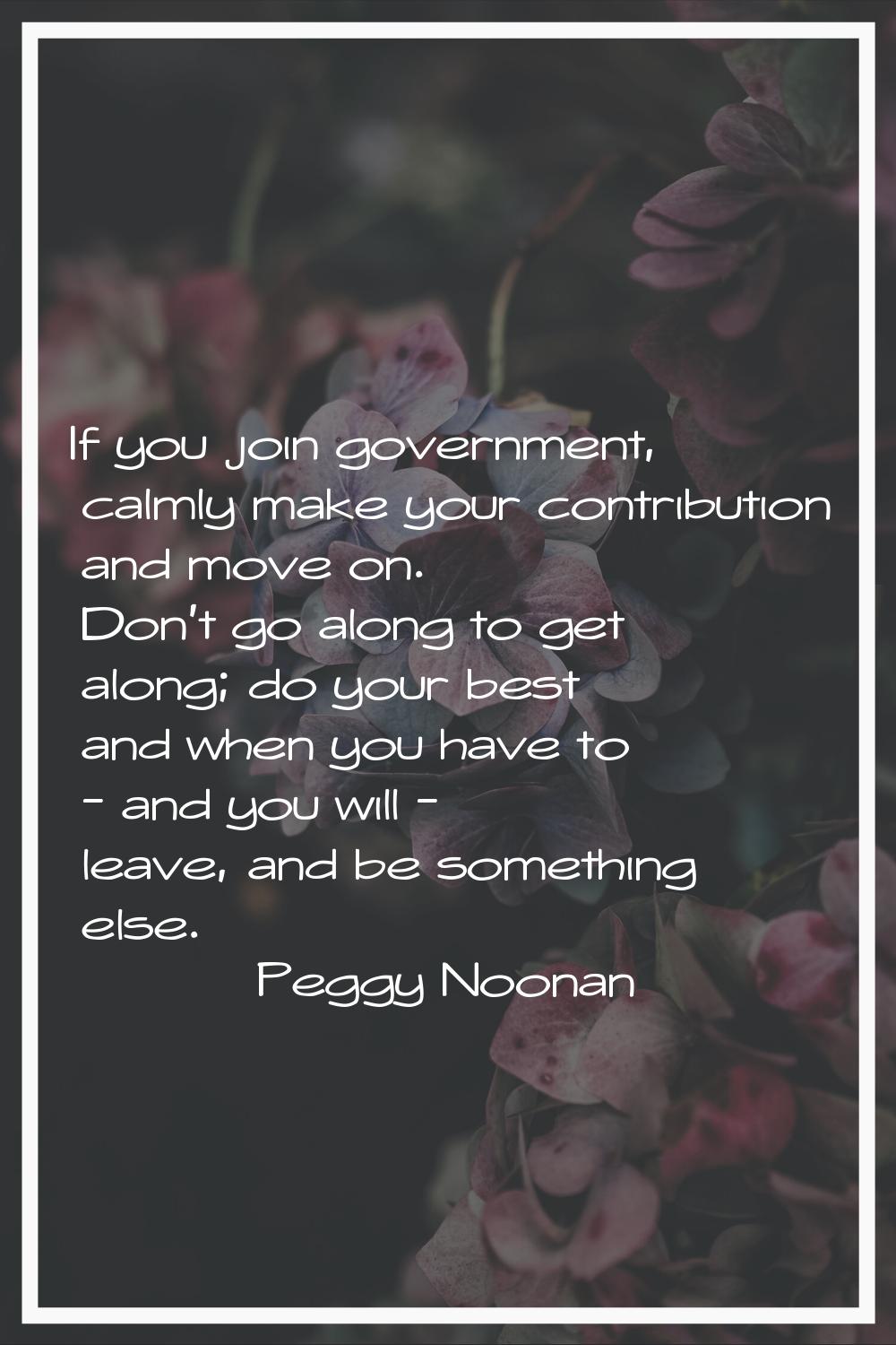 If you join government, calmly make your contribution and move on. Don't go along to get along; do 