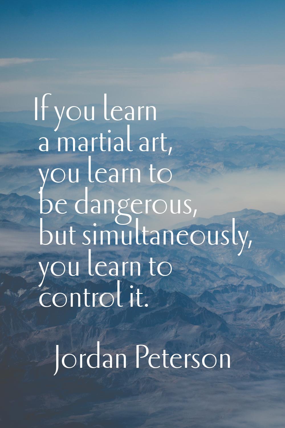 If you learn a martial art, you learn to be dangerous, but simultaneously, you learn to control it.