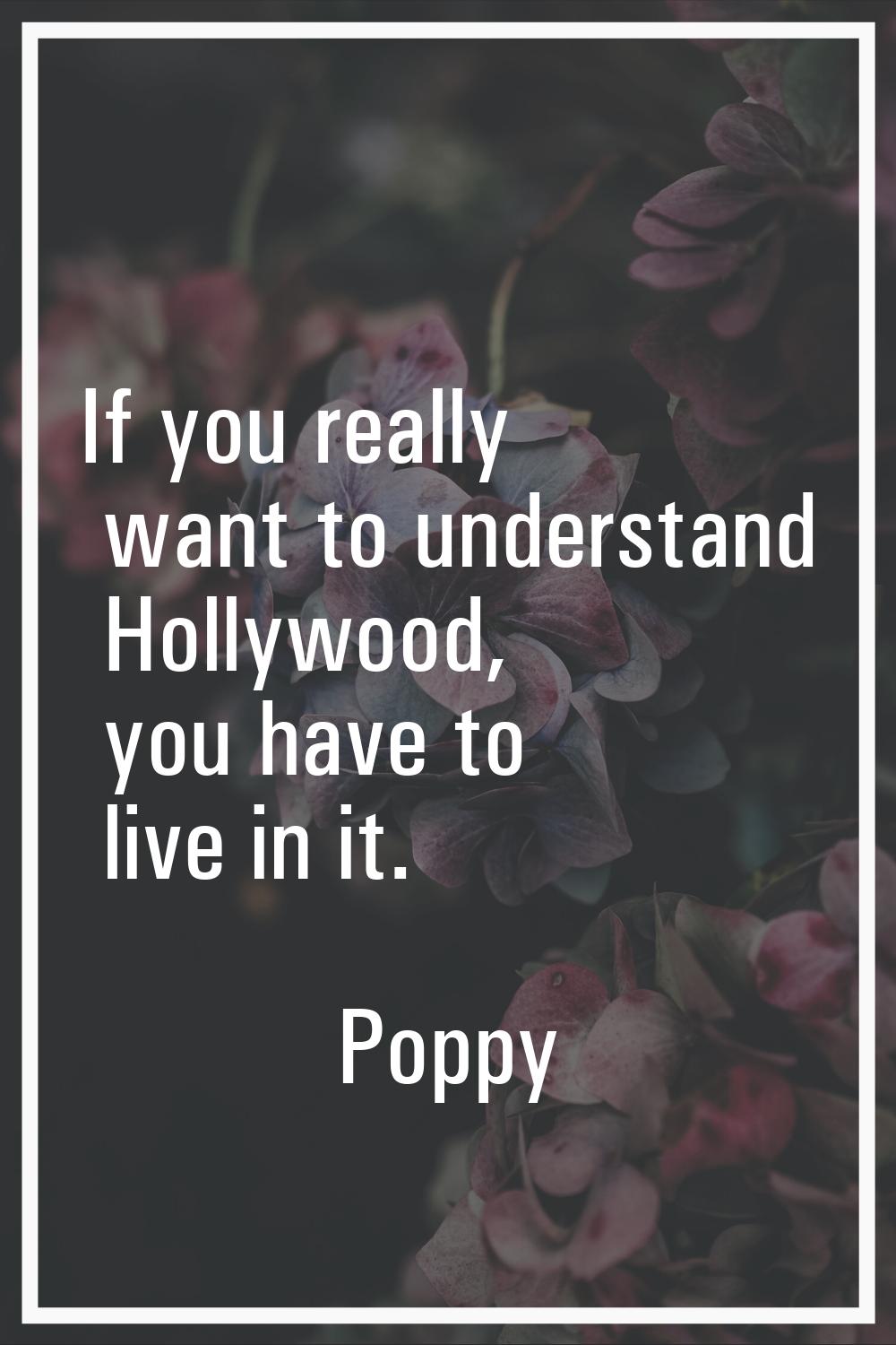 If you really want to understand Hollywood, you have to live in it.