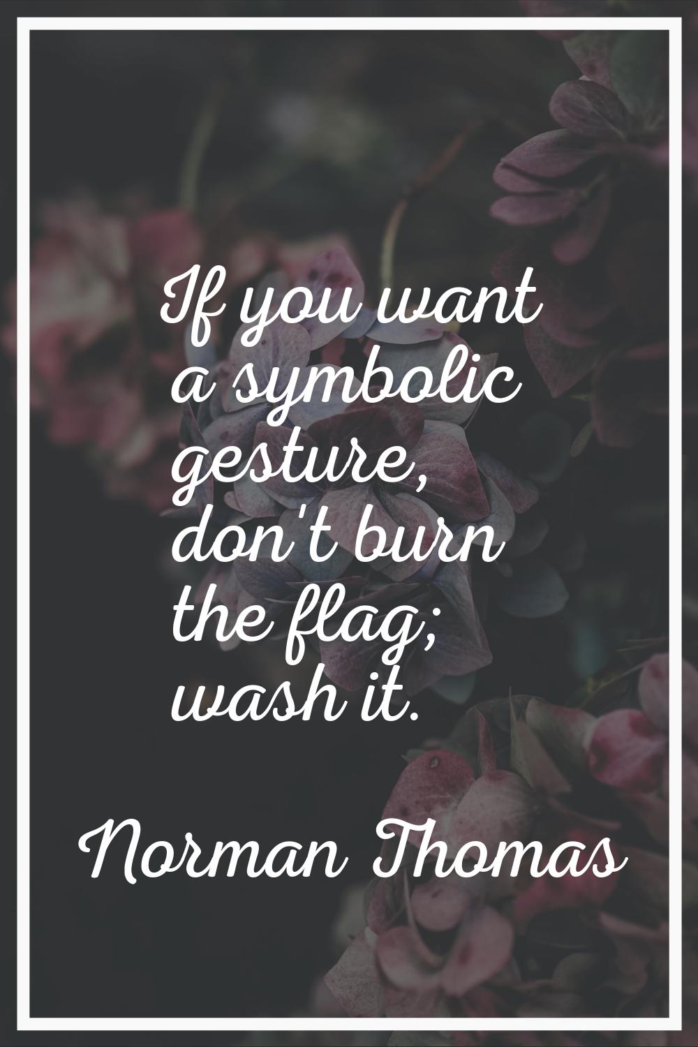 If you want a symbolic gesture, don't burn the flag; wash it.