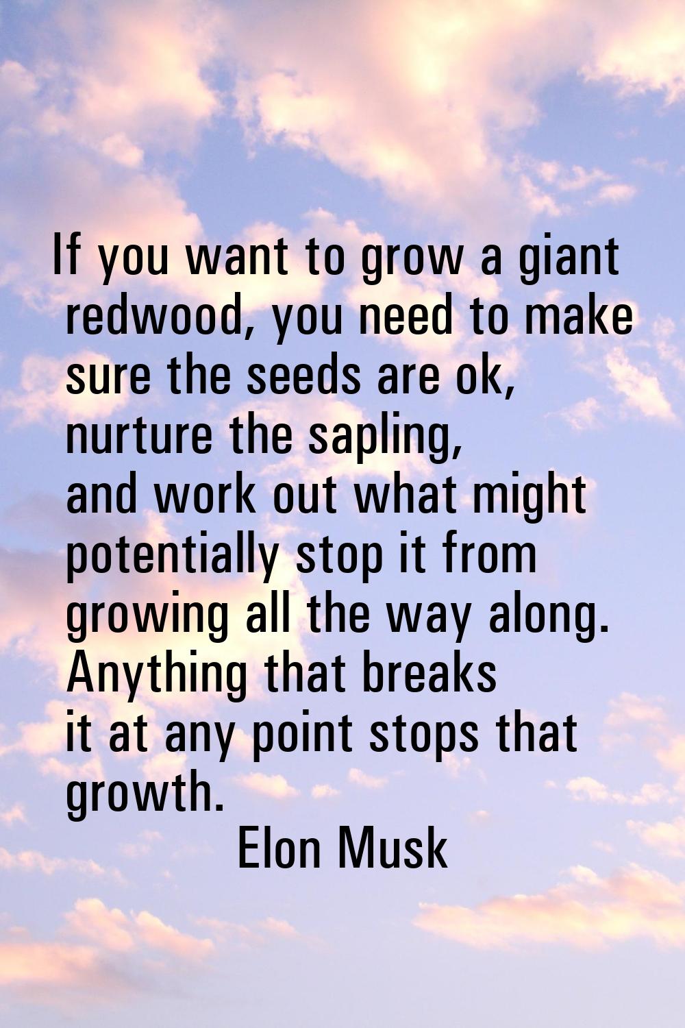 If you want to grow a giant redwood, you need to make sure the seeds are ok, nurture the sapling, a