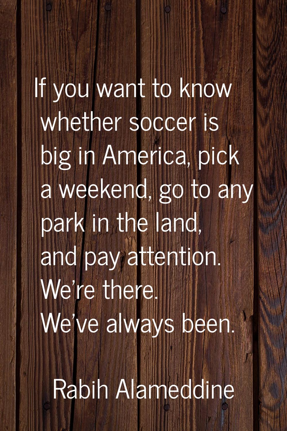 If you want to know whether soccer is big in America, pick a weekend, go to any park in the land, a