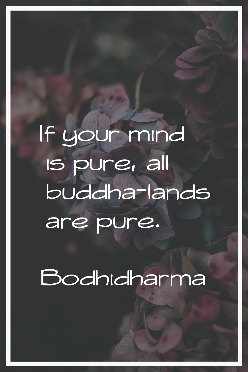 If your mind is pure, all buddha-lands are pure.