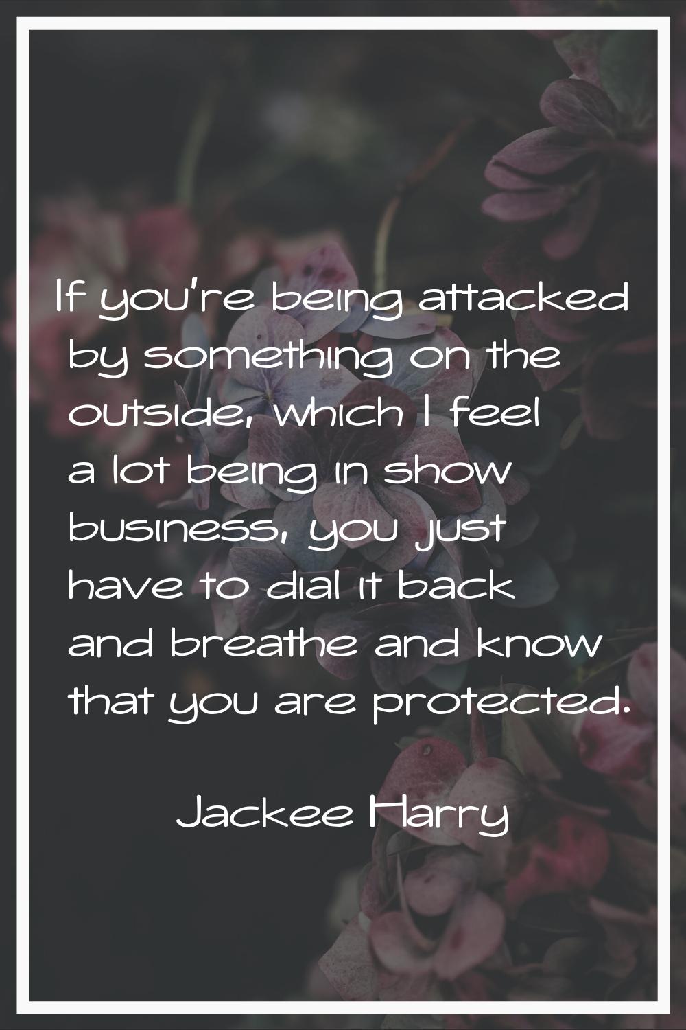 If you're being attacked by something on the outside, which I feel a lot being in show business, yo