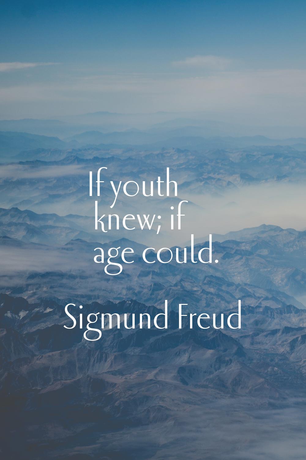 If youth knew; if age could.