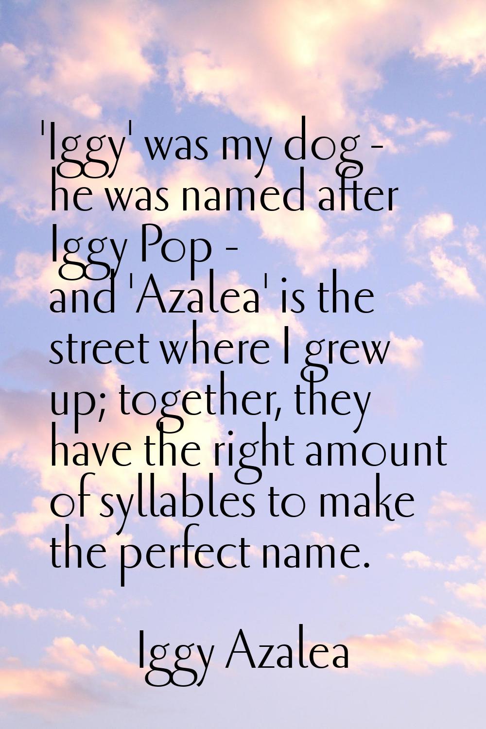 'Iggy' was my dog - he was named after Iggy Pop - and 'Azalea' is the street where I grew up; toget