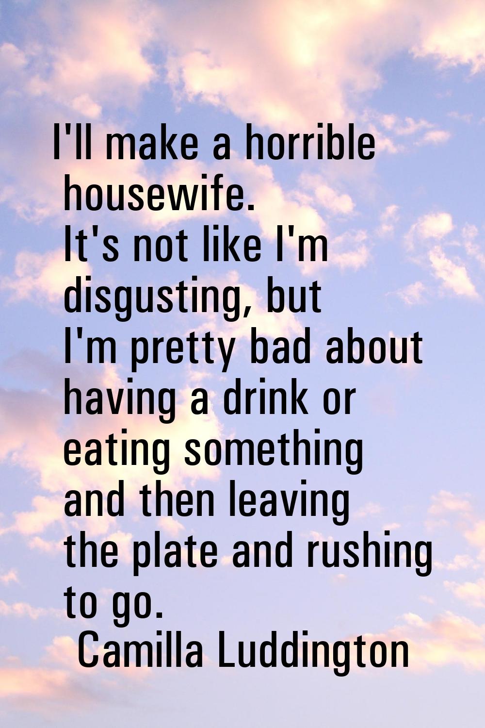 I'll make a horrible housewife. It's not like I'm disgusting, but I'm pretty bad about having a dri