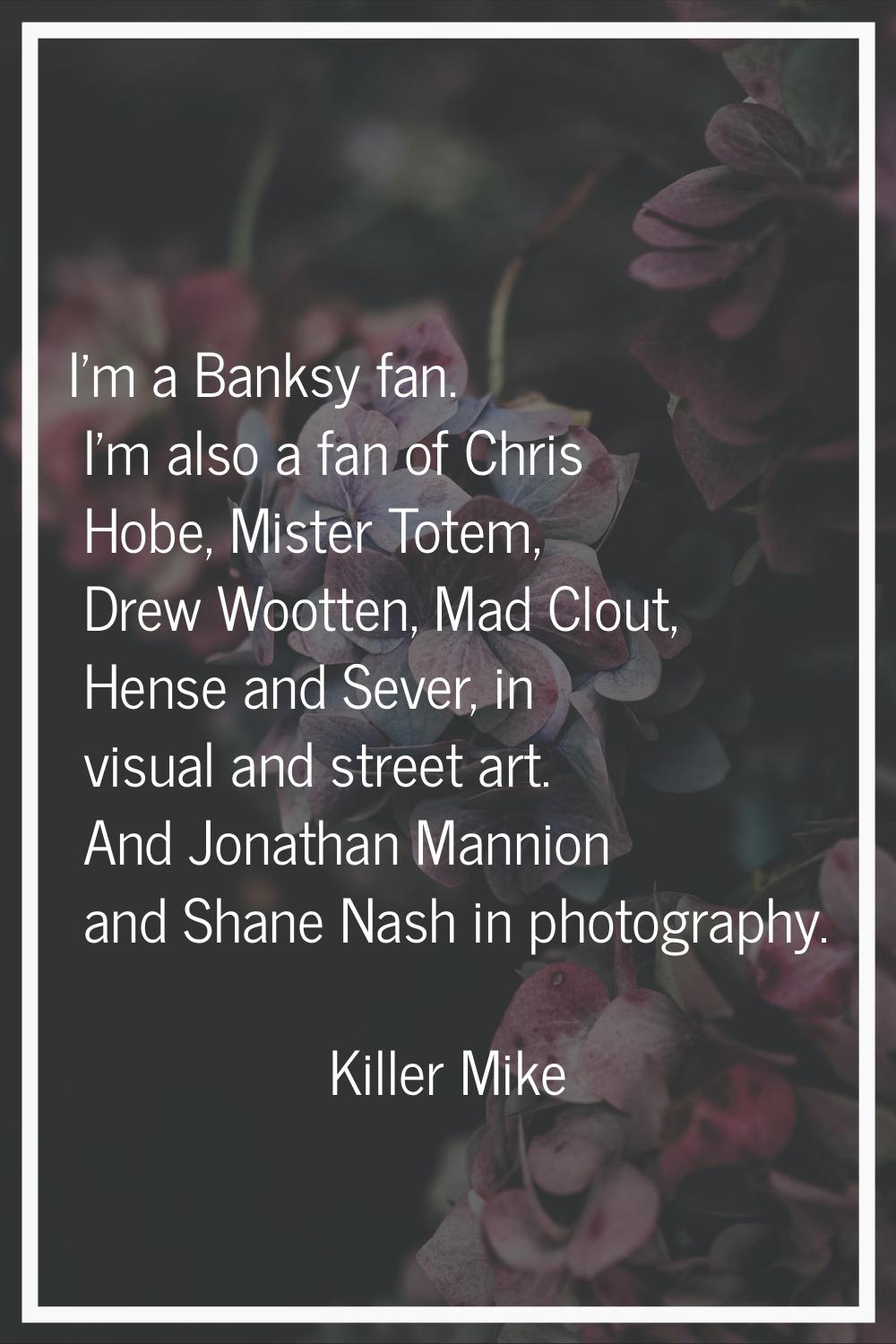 I'm a Banksy fan. I'm also a fan of Chris Hobe, Mister Totem, Drew Wootten, Mad Clout, Hense and Se