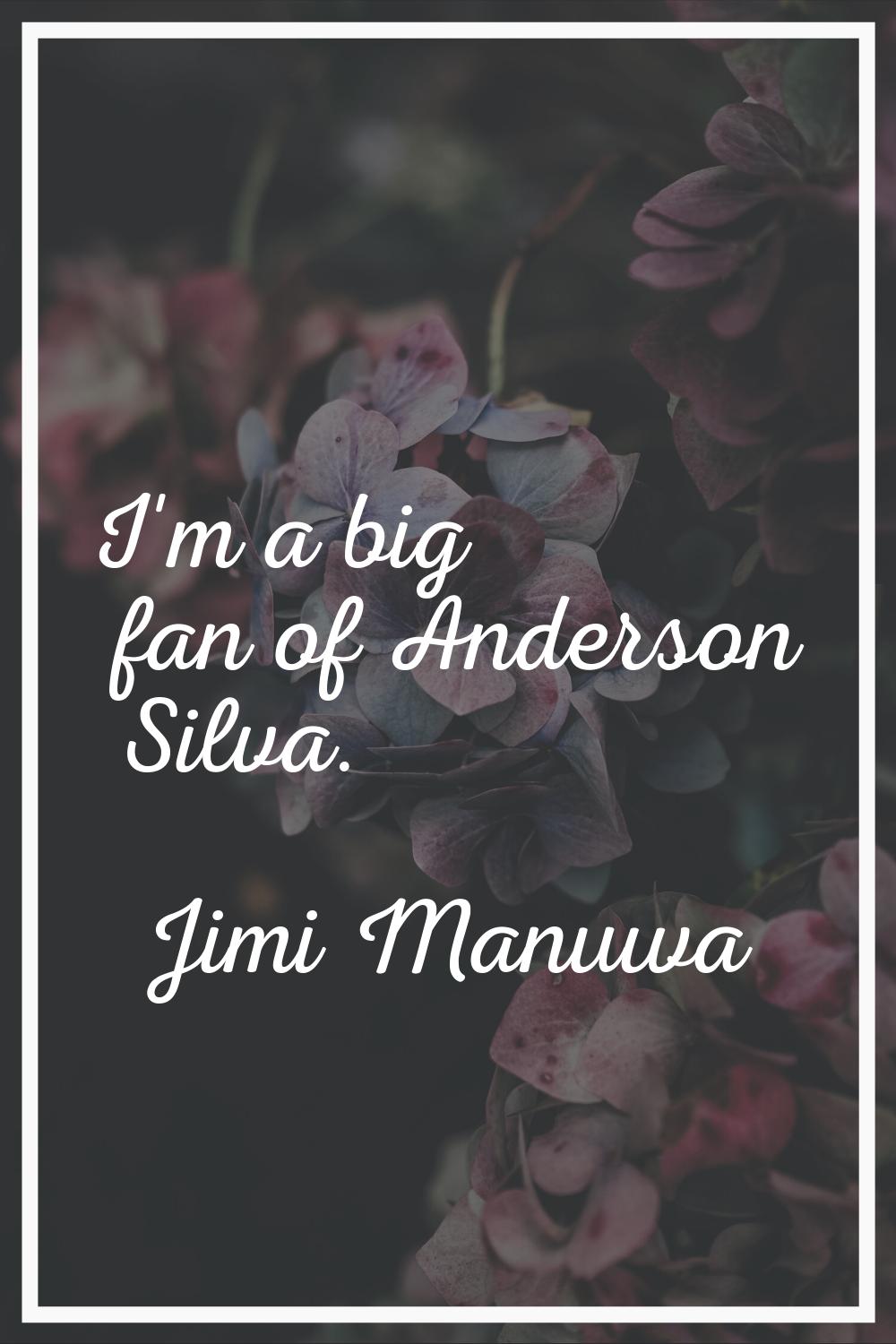 I'm a big fan of Anderson Silva.