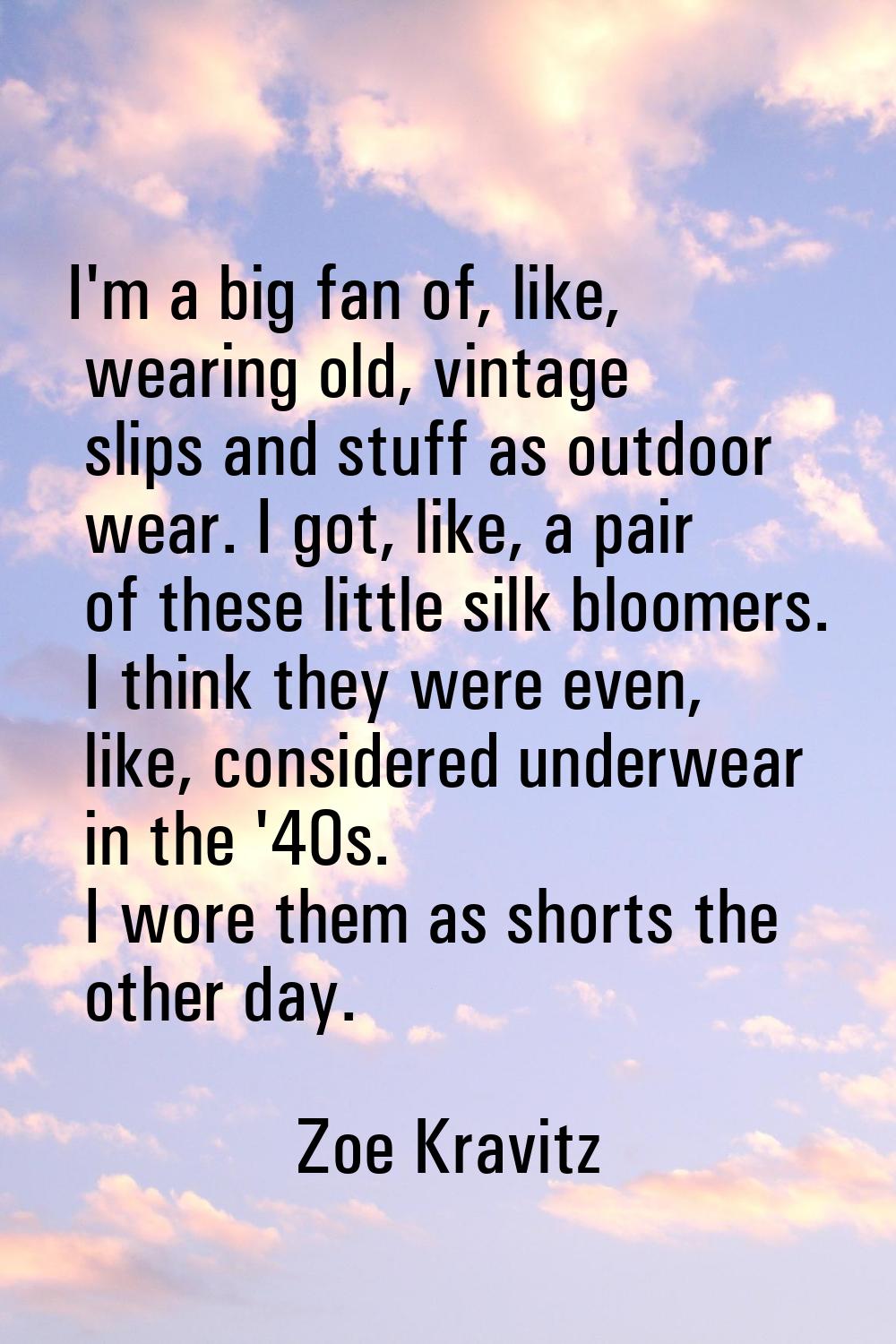 I'm a big fan of, like, wearing old, vintage slips and stuff as outdoor wear. I got, like, a pair o