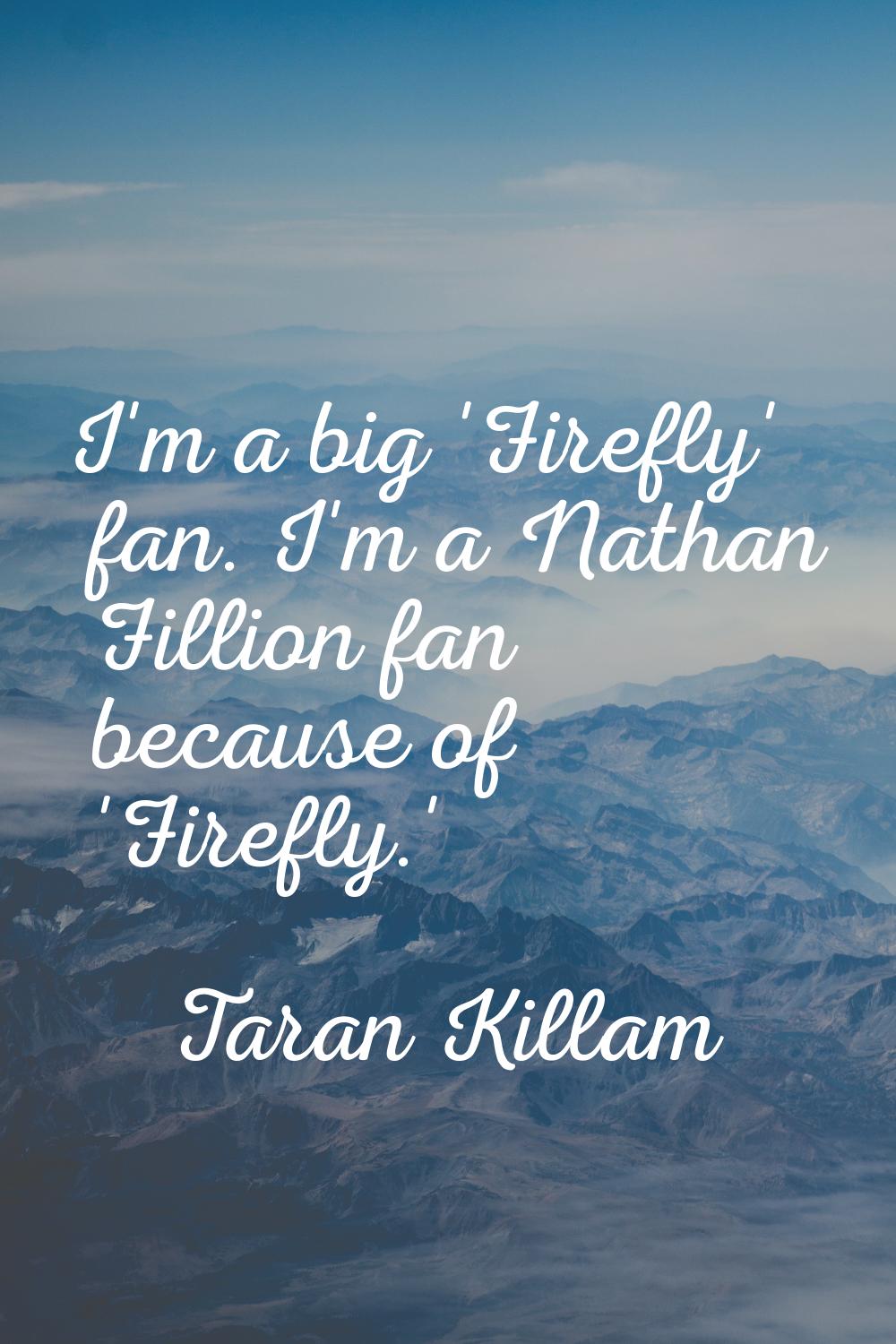 I'm a big 'Firefly' fan. I'm a Nathan Fillion fan because of 'Firefly.'