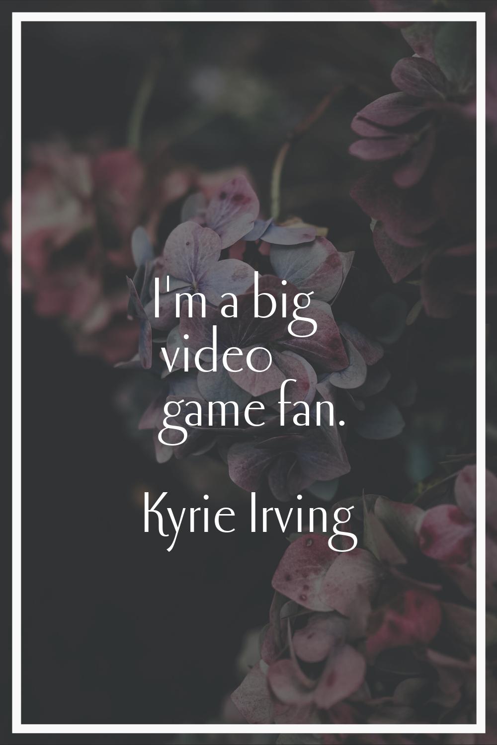 I'm a big video game fan.