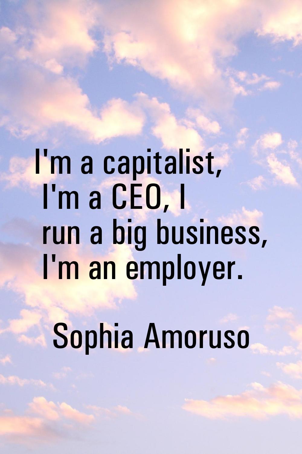 I'm a capitalist, I'm a CEO, I run a big business, I'm an employer.
