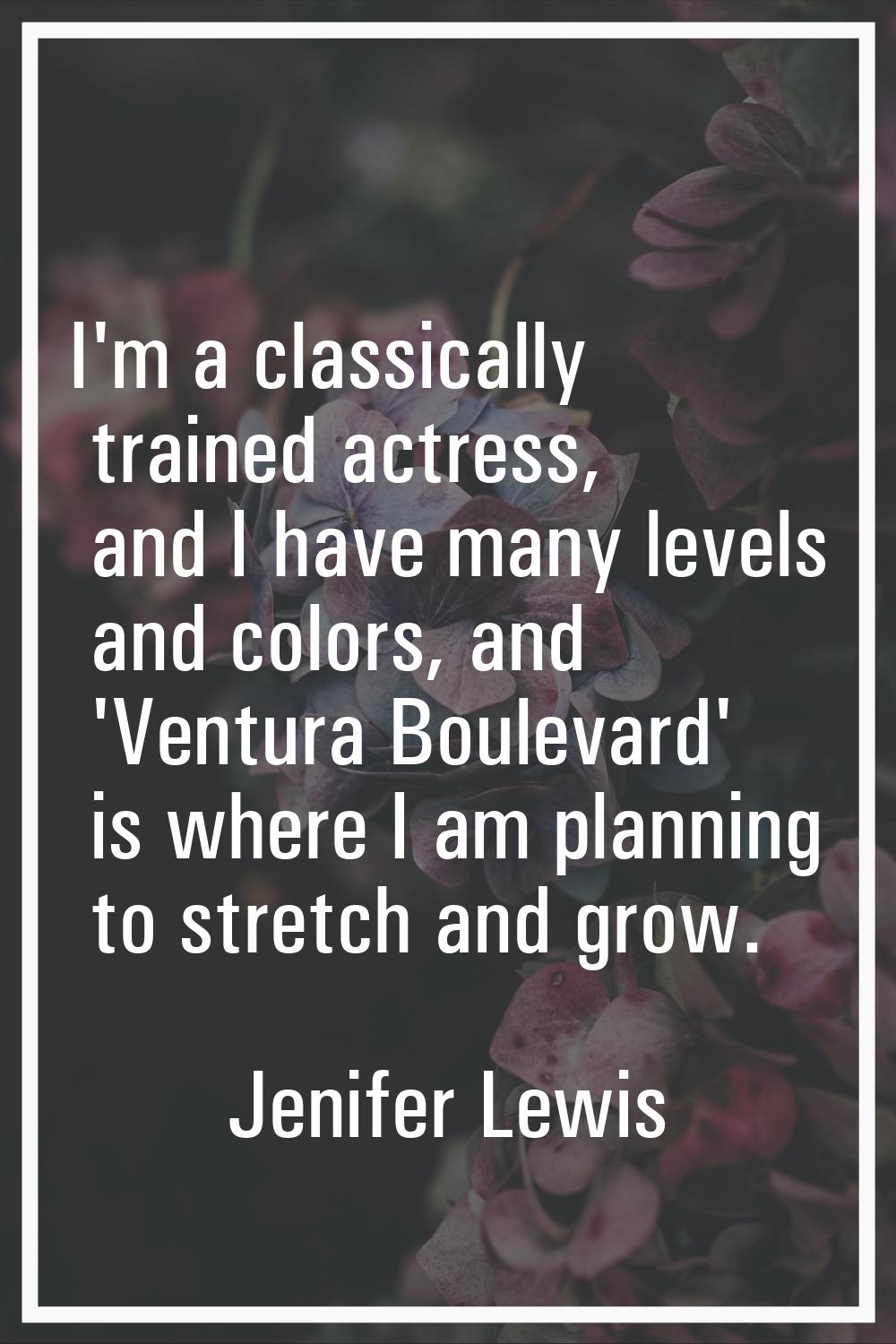 I'm a classically trained actress, and I have many levels and colors, and 'Ventura Boulevard' is wh