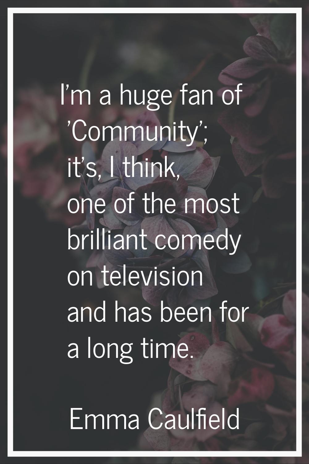 I'm a huge fan of 'Community'; it's, I think, one of the most brilliant comedy on television and ha
