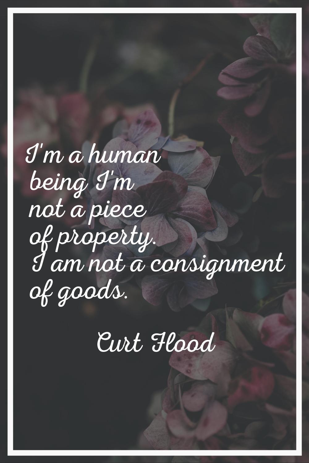 I'm a human being I'm not a piece of property. I am not a consignment of goods.
